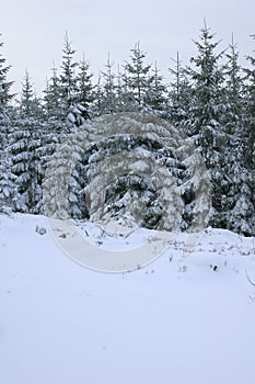 Winter Landscape in France, Vosges, Europe.