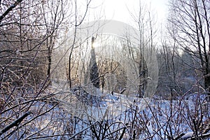 Winter landscape. Fresh snow lies on the dry grass on a Sunny day. The sun is shining from behind the trees