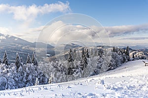 Winter landscape with fresh snow on the trees, Clabucet, Romania