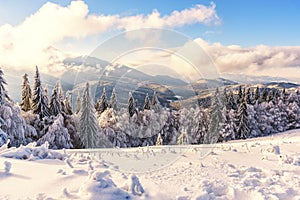 Winter landscape with fresh snow on the trees, Clabucet, Romania