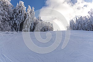Winter landscape with fresh snow on the trees, Clabucet, Romania