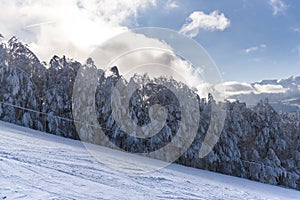 Winter landscape with fresh snow on the trees, Clabucet, Romania