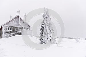 Winter landscape with fresh snow on the trees, Clabucet, Romania