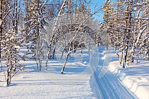 Winter Landscape - fresh track for skiing through the forest