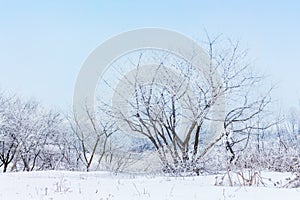 Winter landscape with frost covered trees and blue sky_