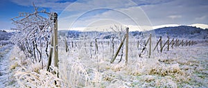 Winter landscape with frost and snow covered trees and nature of Carpathian mountains near Bratislava,Slovakia