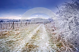 Winter landscape with frost and snow covered trees and nature of Carpathian mountains near Bratislava,Slovakia