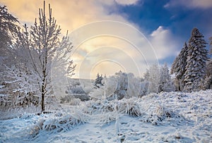 Winter landscape with frost and snow covered trees in nature of Carpathian mountains near Bratislava,Slovakia