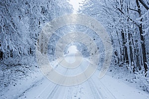 Winter landscape with frost and snow covered trees and nature of Carpathian mountains near Bratislava,Slovakia