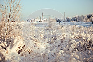 Winter landscape. Frost, white, tree, village, house, ice, silver