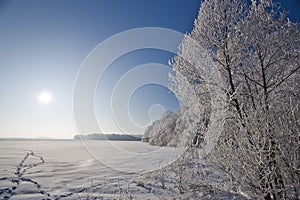 Winter landscape with frosted trees and rime