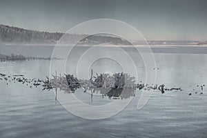 Winter landscape on a frosty day on the river