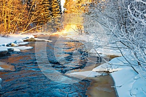 Winter landscape of a frosty morning in a forest area near a river with pure white snow.