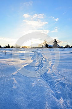 Winter landscape on frosty sunny morning. Snow-covered path with fresh footprints leads to houses in background.