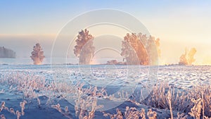 Winter landscape. Frosty winter nature in morning sunrise. Beautiful winter scene. Winter landscape