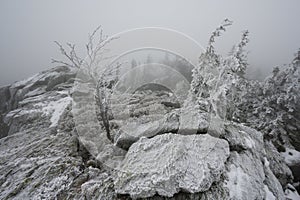 Winter landscape frozen forest, elephant statue in the mountains Kralicky Sneznik Czech Republic