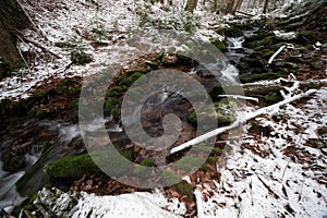 Winter landscape frozen forest, elephant statue in the mountains Kralicky Sneznik Czech Republic