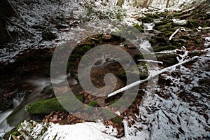 Winter landscape frozen forest, elephant statue in the mountains Kralicky Sneznik Czech Republic