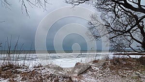 Winter landscape. frozen lake shore with a bare tree against a gray-blue moody sky in wet windy weather