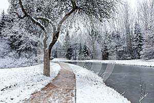 Winter landscape- frozen Ludwig Canal