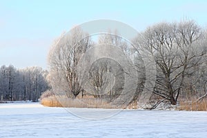 Winter landscape with frozen river bank and trees covered with snow