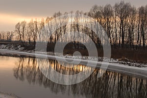 Winter landscape with frozen river covered with snow. Pink winter sunset. Bare trees reflected in the river.Eco tourism
