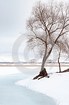 A winter landscape of a frozen river going to the pespective far away. Leafless trees are on the sides of the frame and in the