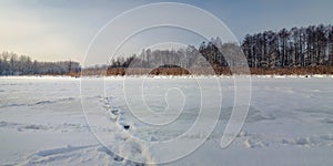 winter landscape. frozen river, lake under snow with reeds and bare trees in clear weather
