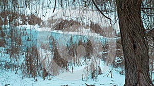 Winter landscape with a frozen river in the thickets  winter cold  beautiful winter.