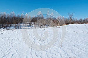 Winter landscape. frozen trees.