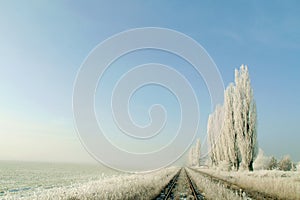 Winter landscape of frozen trees and snowy field