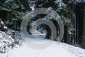 Winter landscape in the german Rothaargebirge.