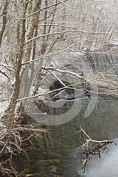 Winter landscape of the Golyama Kamchia river