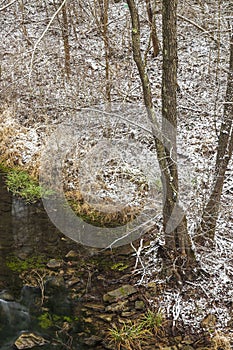 Winter landscape from the Golyama Kamchia river