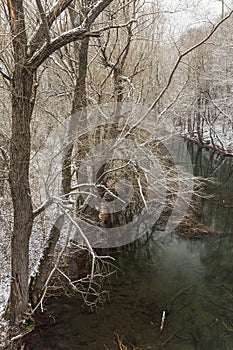 Winter landscape from the Golyama Kamchia river