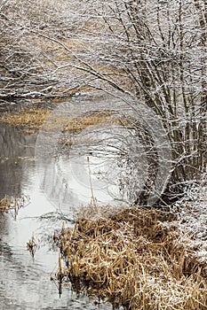 Winter landscape of the Golyama Kamchia river