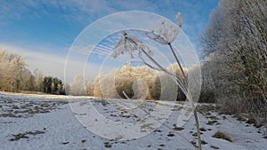 winter landscape with groves and clouds, time lapse