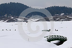 Winter landscape in Gulmarg, Kashmir