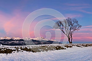 Zimní krajina Vysokých Tater na malém studeném údolí po čerstvém sněhu. Vysoké Tatry, Slovensko Větrné a chladné počasí.