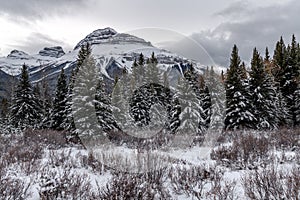 Winter landscape of Hillsdale Meadow, Bow Valley Parkway in the photo