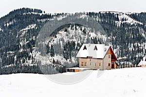 Winter landscape house