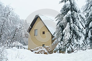Winter landscape. House for weekend on mountain and fir tree under the snow.