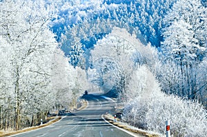 Winter Landscape with icy road
