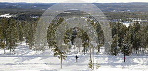Winter landscape, Idre in Sweden