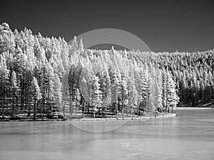 winter landscape in infrared