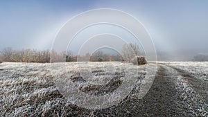 Winter landscape with intense fog and rainbows on the horizon, ice on the plants and on the road. Fogbow. Riaza, Spain photo