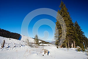 Landscape in Jasna, Slovakia