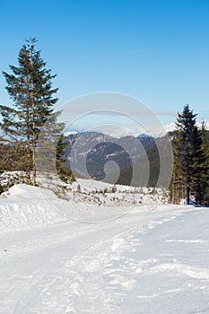 Zimní krajina v Jasné, Slovensko