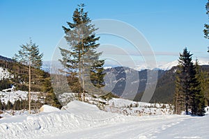 Zimní krajina v Jasné, Slovensko