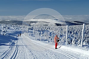 Winter Landscape of Jeseniky